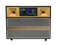 Loa Trợ Giảng LTD-PA250W